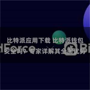 比特派应用下载 比特派钱包安全吗？专家详解其全面优势