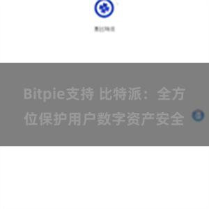 Bitpie支持 比特派：全方位保护用户数字资产安全