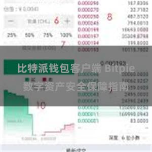 比特派钱包客户端 Bitpie数字资产安全保障指南