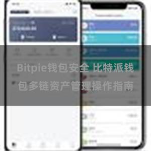 Bitpie钱包安全 比特派钱包多链资产管理操作指南