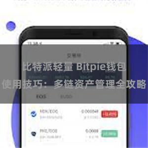 比特派轻量 Bitpie钱包使用技巧：多链资产管理全攻略