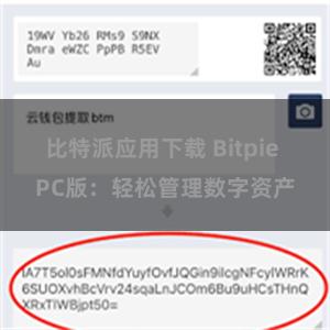 比特派应用下载 Bitpie PC版：轻松管理数字资产