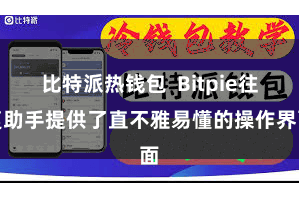 比特派热钱包  Bitpie往复助手提供了直不雅易懂的操作界面