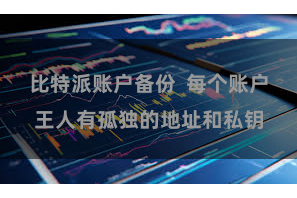 比特派账户备份  每个账户王人有孤独的地址和私钥