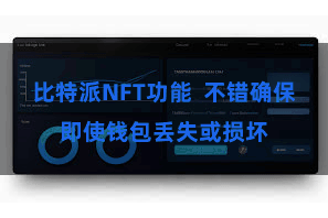 比特派NFT功能  不错确保即使钱包丢失或损坏