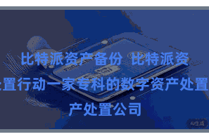 比特派资产备份  比特派资产处置行动一家专科的数字资产处置公司