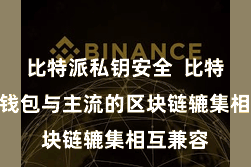 比特派私钥安全  比特派NFT钱包与主流的区块链辘集相互兼容