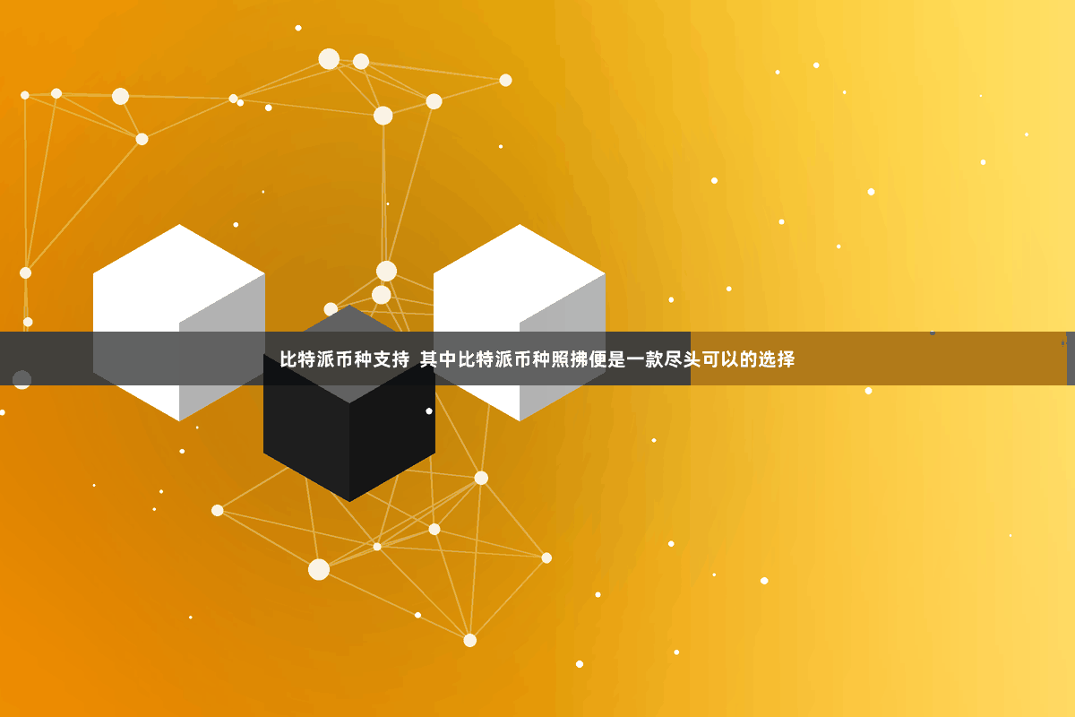 比特派币种支持  其中比特派币种照拂便是一款尽头可以的选择